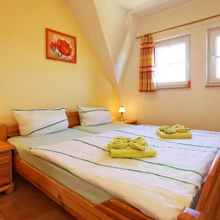 Am Eikboom - Dhh2 Mit Fasssauna *